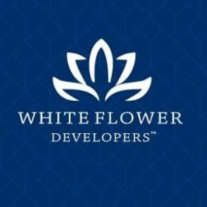 Profile photo of White Flower